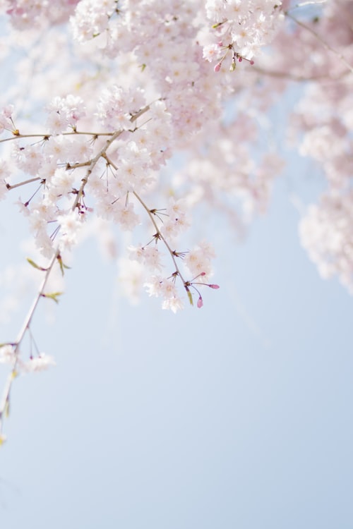 Spring
