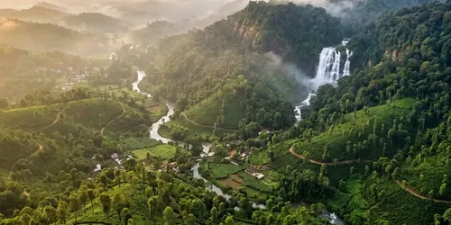 Coorg Coffee Estates & Abbey Waterfalls Escape