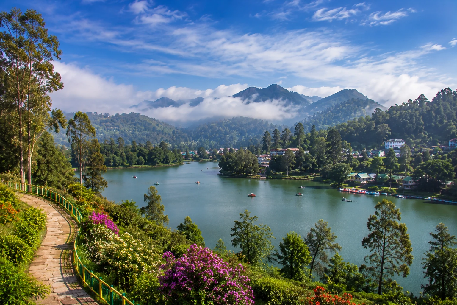 Kodaikanal Misty Lake & Pine Forest Holiday