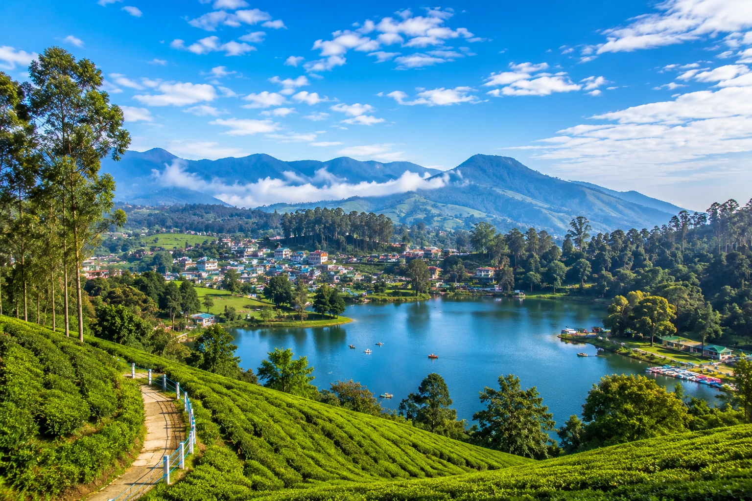 Scenic Ooty Hills & Nilgiri Toy Train Experience