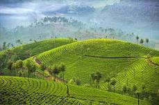 Kerala Luxury Houseboat & Munnar Tea Gardens Escape